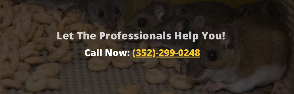 Let the Professionals help You!