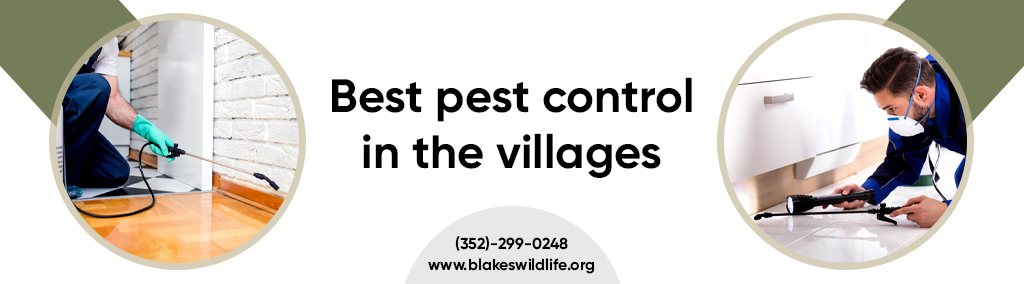 Pest Control the Villages